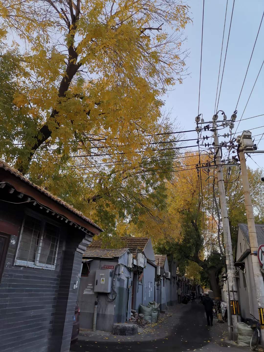 横街秋景 东城区胡同 北京