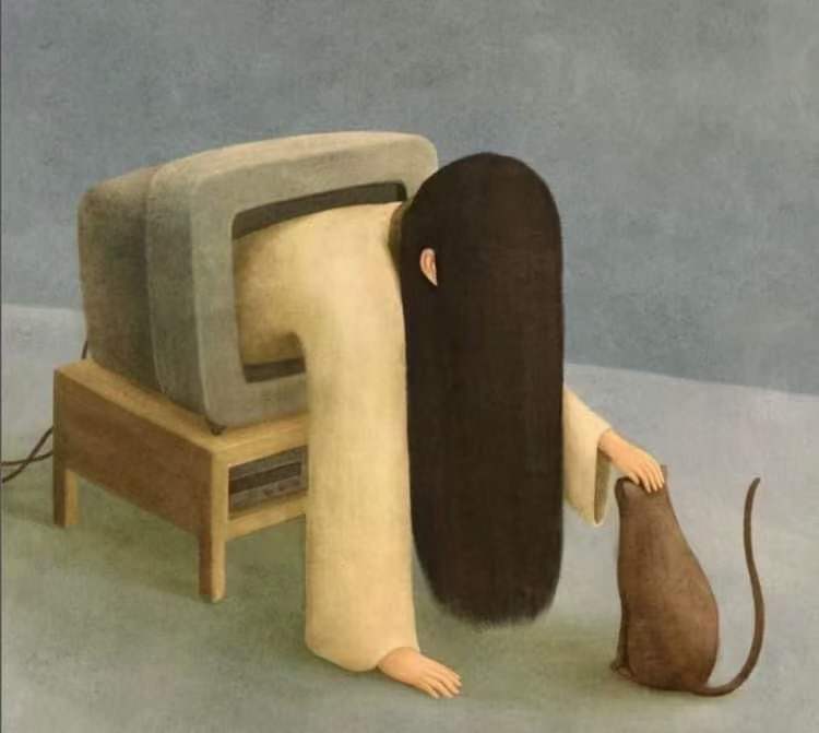 贞子和猫